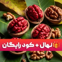 فروش جشنوارهای نهال با کود رایگان و نهال اضافه