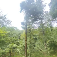 یک-قطعه-زمین-عالی