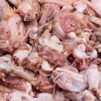 استخوان ضایعاتی مرغ