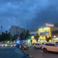 تجاری-کف-بر-طالقانی-چال-دار