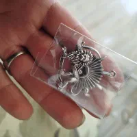 شیر خورشید