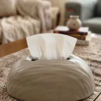 جای دستمال کاغذی
