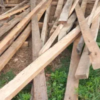 چوب رایگان|عمدهفروشی|ماسال, |دیوار