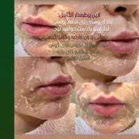 آلگاپیل،فیشال (خانمها و آقایان)|خدمات آرایشگری و زیبایی|یاسوج, |دیوار