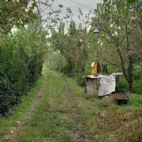 ویلا باغ،آلاچیق،کلبه چوبی|اجارهٔ کوتاهمدت ویلا و باغ|رشت, کوی امام رضا|دیوار