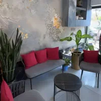 اجاره لاین لیزر یا فیشال در مطب پزشک