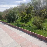 زمین داخل شهرک کلاراباد ۵۰۰ متر