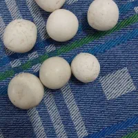 سنگ های سفید