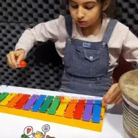 آموزش سنتور تار پیانو هنگ دارم بلز و فلوت