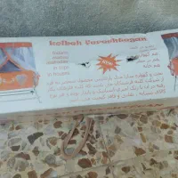 گهواره کودک