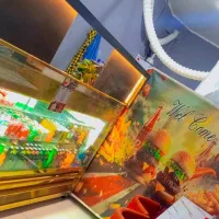 نیروکارفست فودی