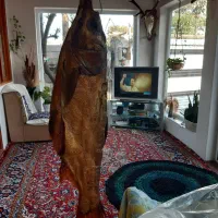 ماهی دودی بیگت|ماهی|بندر انزلی, سوسر|دیوار