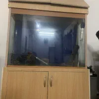 اکواریوم بزرگ