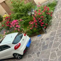 کیا ریو هاچ بک   پلاک ارس دایم
