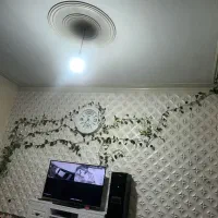 گل پتوس۱۳متری ۸متر ۶متری جوجه داده ۳ساله