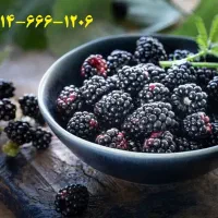 سیمکارت صفر و رند