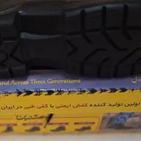 کفش ایمنی بهشتیان