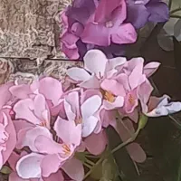 گل شکوفه بهاری|گل مصنوعی|اندیشه, اندیشه فاز ۱|دیوار