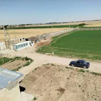 زمین کشاورزی دامداری صنعتی به مساحت ۴۲۵۰۰ متر|فروش دفتر صنعتی، کشاورزی، تجاری|قرچک, داوود آباد|دیوار