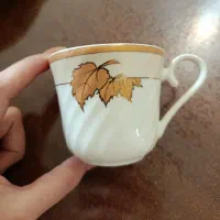 سرویس چای خوری ۶ نفره