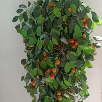 درختچه ۸۵۰ تومن|گل مصنوعی|دزفول, |دیوار