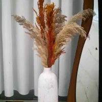 نیروی ناخنکار جهت همکاری در سالن تخصصی ناخن