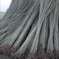 نهال صنوبر سرمایه ای برای اینده|خدمات باغبانی و درختکاری|الشتر, |دیوار