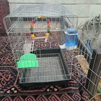قفس کاملا نو طوطی یا عروس با همه وسایل
