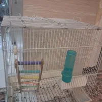 قفس پرنده