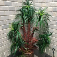 درخت کاج مصنوعی