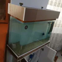 آکواریم شیشه خم 80 سانتی|ماهی|کرج, شهرک بنفشه|دیوار