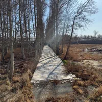 فروش ۱۰ قطعه زمین مسکونی(یکجا یا قطعه ای)|فروش زمین و ملک کلنگی|محمدشهر, محمدشهر|دیوار