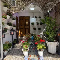 جذب نیروی ظرفشور و سالندار