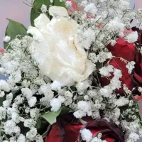 خ ر ی د ا ر و ا م ا ز د و ا ج