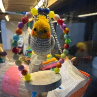 عروس هلندی گرینچیک راهب|لوازم جانبی حیوانات|ری, شهادت|دیوار