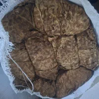برگ زرد بنیاد