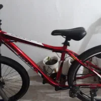 دوچرخه حرفه ای