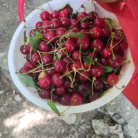 پارتنر طبیعت گردی(لطفا مطالعه کنید)