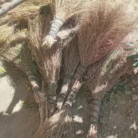 جارو خانگی