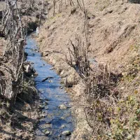 فروش زمین کشاورزی بین تالش واستارا