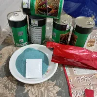 بذر سفید اصلاح شده هندی