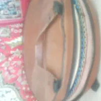 دایره با کیف وجای مضراب ومیکروفن|سازهای سنتی|تبریز, |دیوار