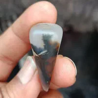 سنگ شجر معدنی