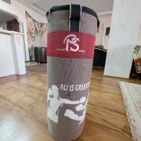 کیسه بوکس نو وسالم