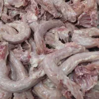 گردن مرغ|خوردنی و آشامیدنی|تهران, قیام|دیوار