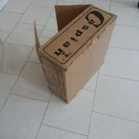 کارتن