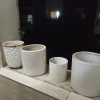 گلدان چینی|گل و گیاه طبیعی|تهران, دولاب|دیوار