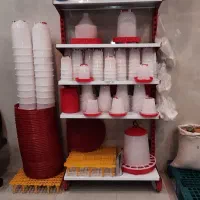 آبخوری دانخوری سینی جوجه تایل اسلت