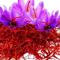 زعفران اصل|عمدهفروشی|میان ولایت, |دیوار