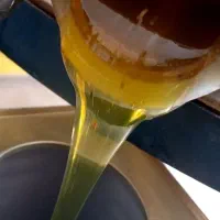 عسل صدرصد طبیعی اوکالیپتوس